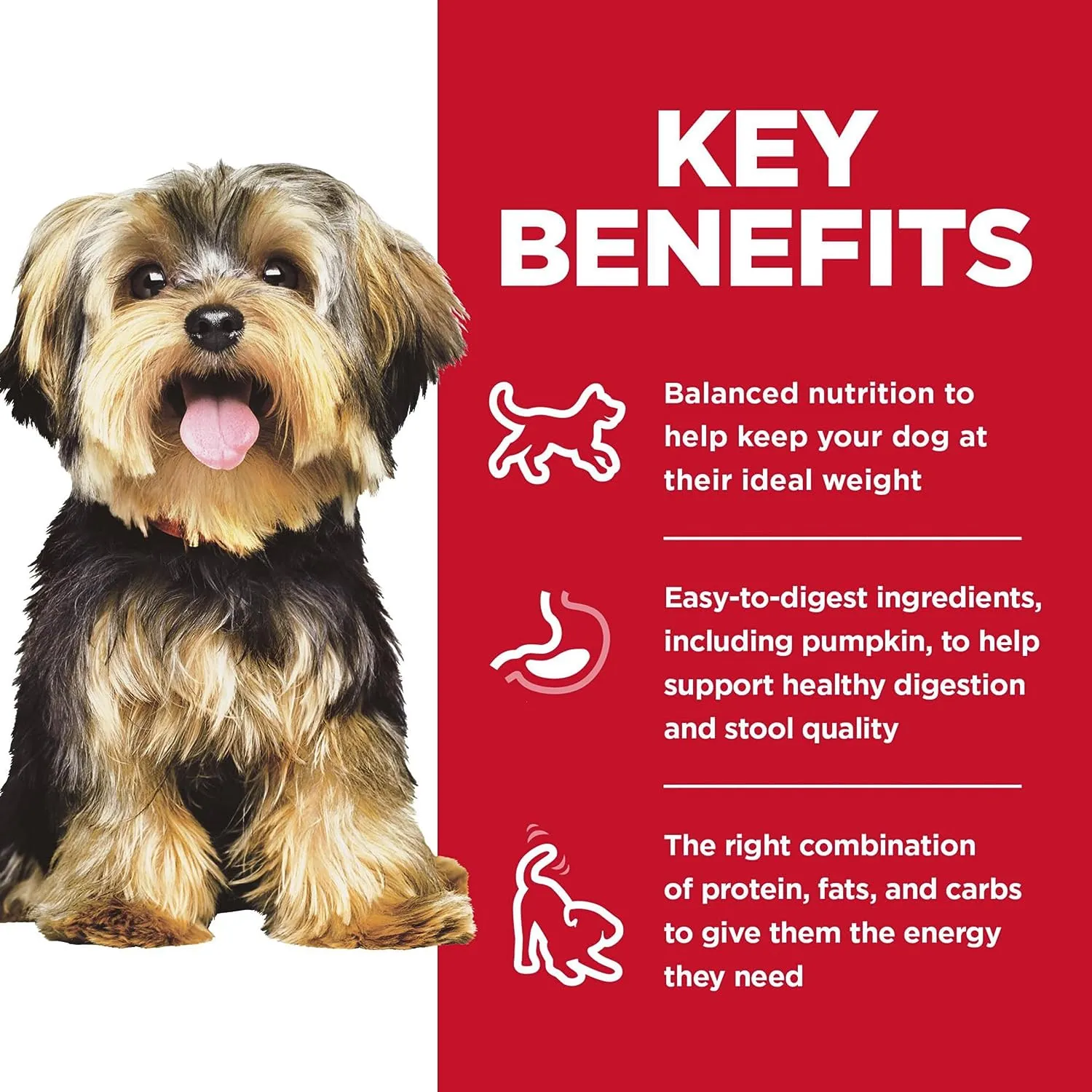 Small & Mini, Adult 1-6, Small & Mini Breeds Premium Nutrition, Dry Dog Food, Chicken & Brown Rice, 4.5 Lb Bag